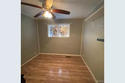 1534 Rue Chapelle, Bonne Terre, MO 63628 - Photo 5