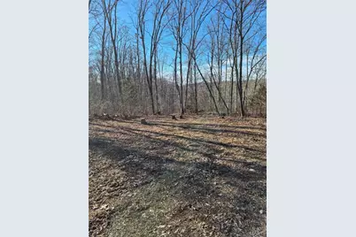 0 Catawba Drive, De Soto, MO 63020 - Photo 1