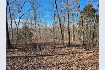 0 Catawba Drive, De Soto, MO 63020 - Photo 7