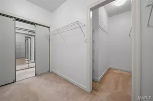 14342 Manderleigh Woods Dr, Chesterfield, MO 63017 - Photo 29