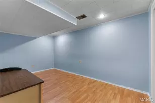 2533 Tulip Ln, Cape Girardeau, MO 63701 - Photo 33