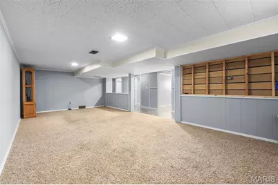 2533 Tulip Lane, Cape Girardeau, MO 63701 - Photo 37
