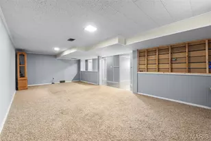 2533 Tulip Ln, Cape Girardeau, MO 63701 - Photo 37