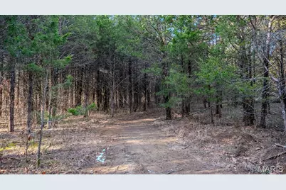 4598 Highway 30, Robertsville, MO 63072 - Photo 35