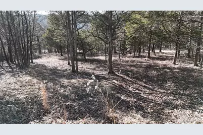 10321 Timber Hill Drive, Hillsboro, MO 63050 - Photo 5