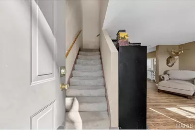 9734 Raintree Village Drive #4B, Hillsboro, MO 63050 - Photo 3