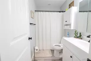 111 N White Oak St, Desloge, MO 63601 - Photo 9