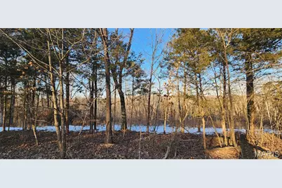 5917 Twin Fawn Ridge, Hillsboro, MO 63050 - Photo 3