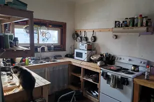 3020 Mt Pleasant St, Saint Louis, MO 63111 - Photo 3