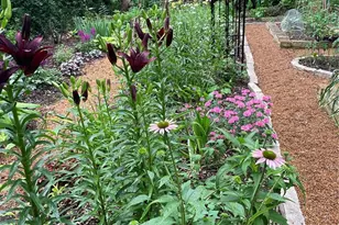 7330 Kingsbury Blvd, Saint Louis, MO 63130 - Photo 51