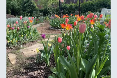 7330 Kingsbury Boulevard, Saint Louis, MO 63130 - Photo 47