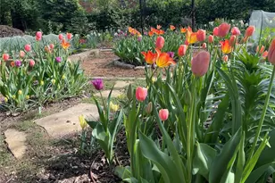 7330 Kingsbury Blvd, Saint Louis, MO 63130 - Photo 47