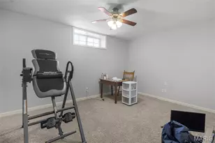 384 Oak Meadows Dr, Jackson, MO 63755 - Photo 17