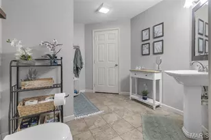 384 Oak Meadows Dr, Jackson, MO 63755 - Photo 19