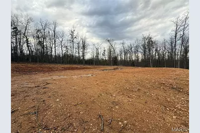 0 Tract D Highway Vv, Licking, MO 65542 - Photo 5