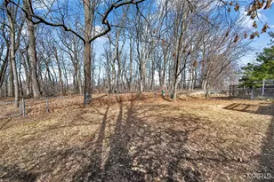 11953 Meadow Run Ct, Maryland Heights, MO 63043 - Photo 59