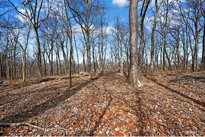 11953 Meadow Run Court, Maryland Heights, MO 63043 - Photo 45