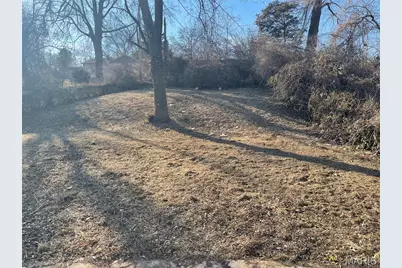 10035 Clairmont Drive, Saint Louis, MO 63136 - Photo 11