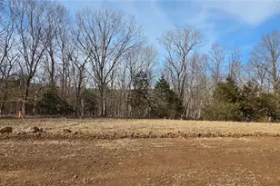 1970 Tanglefoot Farms Rd, Festus, MO 63028 - Photo 1