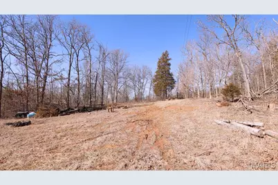 9990 Koester Springs Road, French Village, MO 63036 - Photo 21