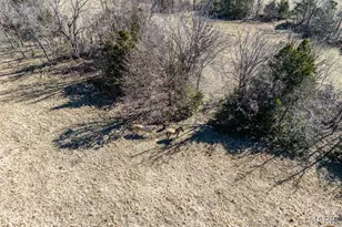 28345 Sapphire Dr, Richland, MO 65556 - Photo 59