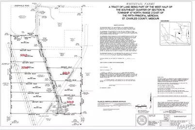 998 Josephville, Wentzville, MO 63385 - Photo 3