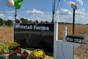 998 Josephville, Wentzville, MO 63385 - Photo 1