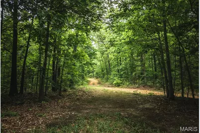 0 County Road 6280 Tract 1, Jadwin, MO 65502 - Photo 19