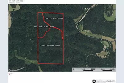 0 County Road 6280 Tract 1, Jadwin, MO 65502 - Photo 3