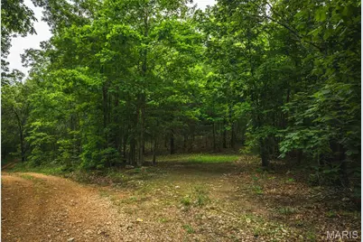 0 County Road 6280 Tract 1, Jadwin, MO 65502 - Photo 5