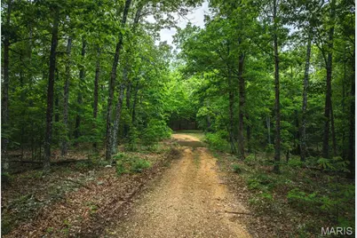 0 County Road 6280 Tract 3, Jadwin, MO 65502 - Photo 3