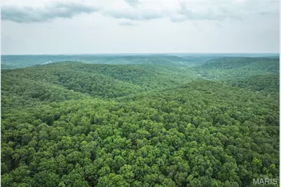 0 County Road 6280 Tract 3, Jadwin, MO 65502 - Photo 17