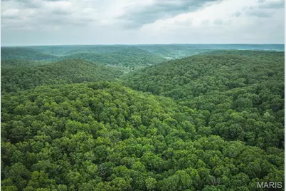 0 County Road 6280 Tract 3, Jadwin, MO 65502 - Photo 9