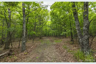 0 County Road 6280 Tract 3, Jadwin, MO 65502 - Photo 27