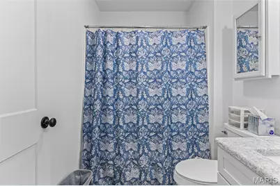 326 St. Brigitte, Bonne Terre, MO 63628 - Photo 19