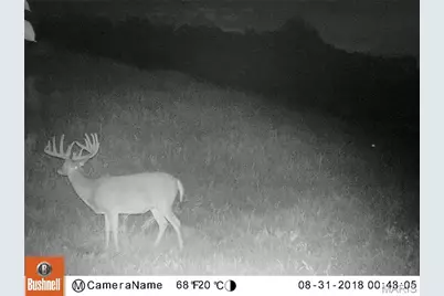 00 Missouri D Highway, Marthasville, MO 63357 - Photo 13