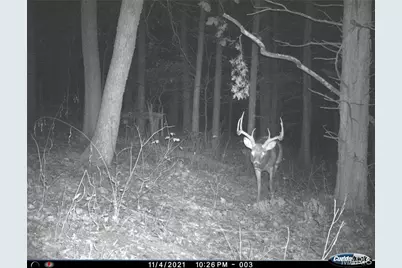 00 Missouri D Highway, Marthasville, MO 63357 - Photo 37