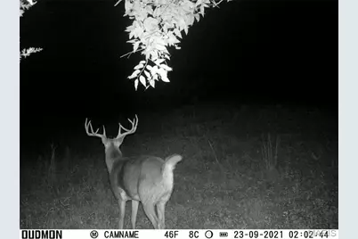 00 Missouri D Highway, Marthasville, MO 63357 - Photo 39