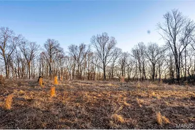 00 Missouri D Highway, Marthasville, MO 63357 - Photo 33