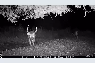 00 Missouri D Highway, Marthasville, MO 63357 - Photo 55