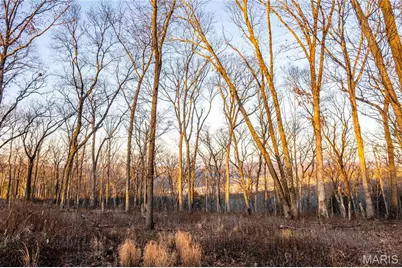 00 Missouri D Highway, Marthasville, MO 63357 - Photo 43