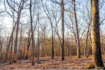 00 Missouri D Highway, Marthasville, MO 63357 - Photo 45