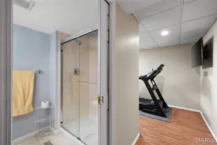 424 Audubon Village Spur, Wildwood, MO 63040 - Photo 41