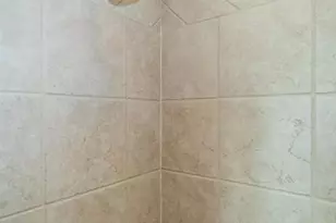 1120 S Mason, Saint Louis, MO 63131 - Photo 29