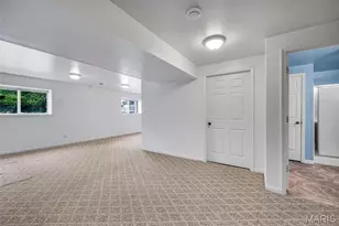 176 Carytown Ln, Florissant, MO 63034 - Photo 49