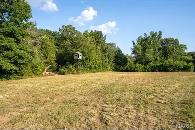 0 County Road 532 Tract 1, Williamsville, MO 63967 - Photo 7