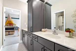 409 Amberleigh Mnr Dr, O'Fallon, MO 63385 - Photo 21