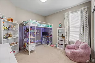 534 Wilmer Hollow Ln, Wentzville, MO 63385 - Photo 19