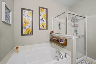 534 Wilmer Hollow Ln, Wentzville, MO 63385 - Photo 17