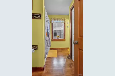 409 Albert Street, Cape Girardeau, MO 63703 - Photo 21